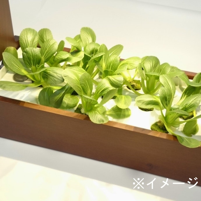 カビ・藻・水あかが出たときの対処と防止策は?