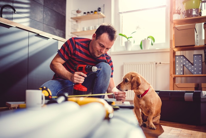 犬用車椅子を手作りする方法とは?