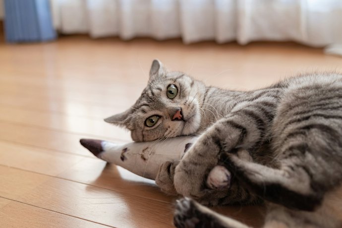 けりぐるみを使用する際の注意点は?