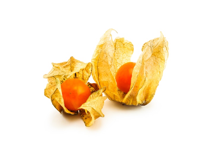 食用ほおずき「ゴールデンベリー」の魅力とは?