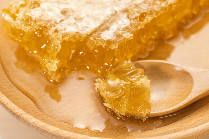 蜂の巣がそのまま食べられる!巣蜜の魅力って?