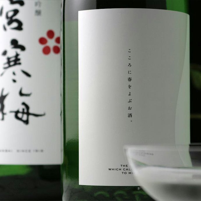 宮寒梅の日本酒とは?どんな魅力がある?