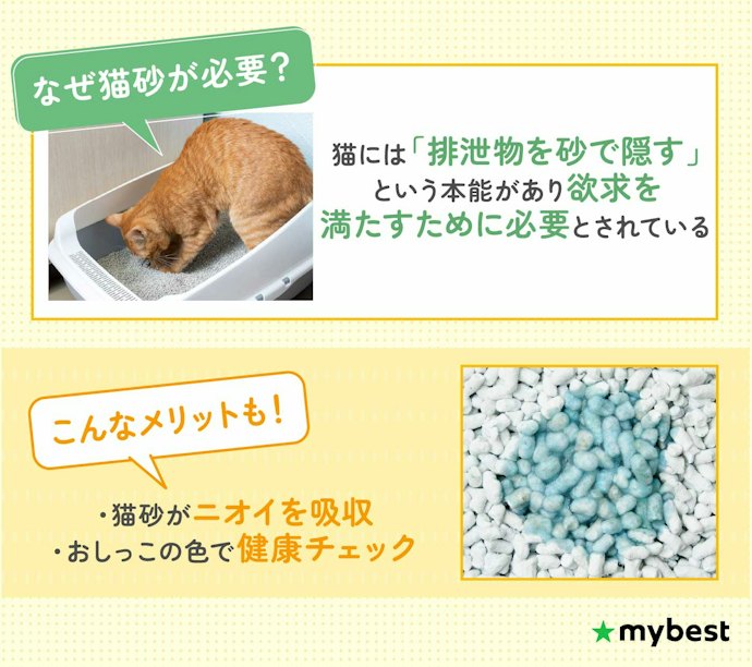 猫砂はなぜ必要?砂かきの習性と猫砂の役割とは?
