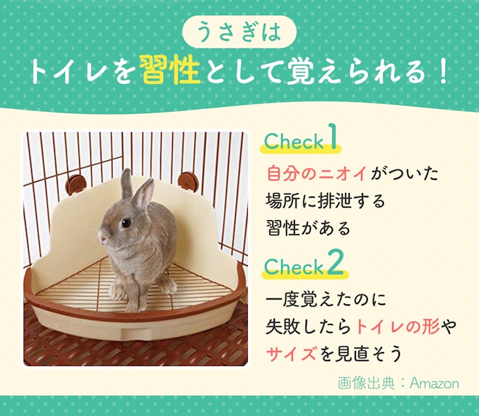 そもそも、うさぎはトイレをしつけられる?