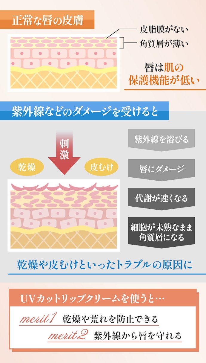 UVカットリップクリームって必要なの?