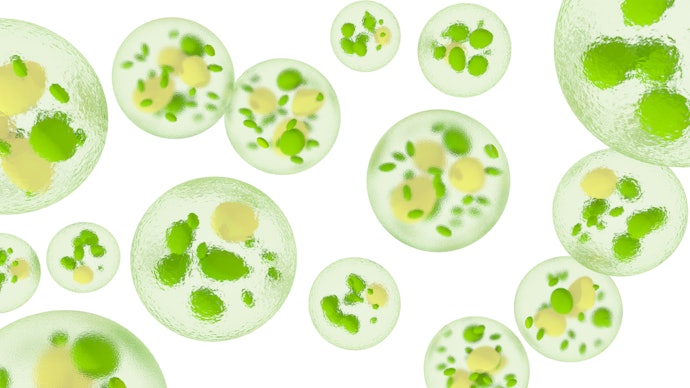 ミドリムシとは?どんな栄養素がある?