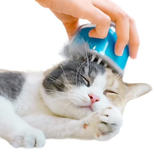 長毛猫のブラッシングはなぜ必要?毛玉放置のリスクとプロに任せる境界線とは?