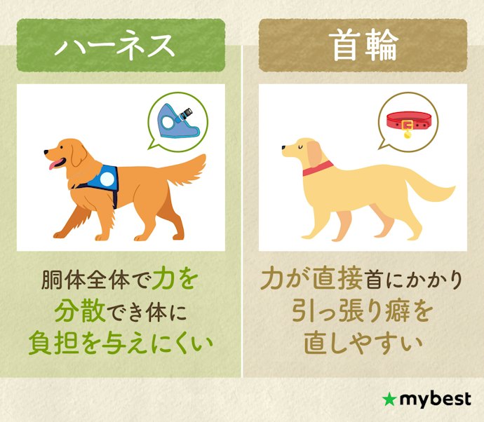 犬用ハーネスは首輪とどう違うの?