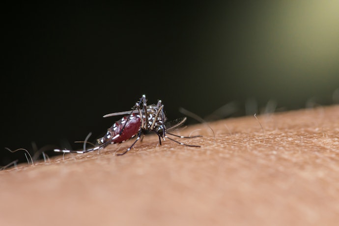 虫除けリングとは?虫除け効果は期待できる?