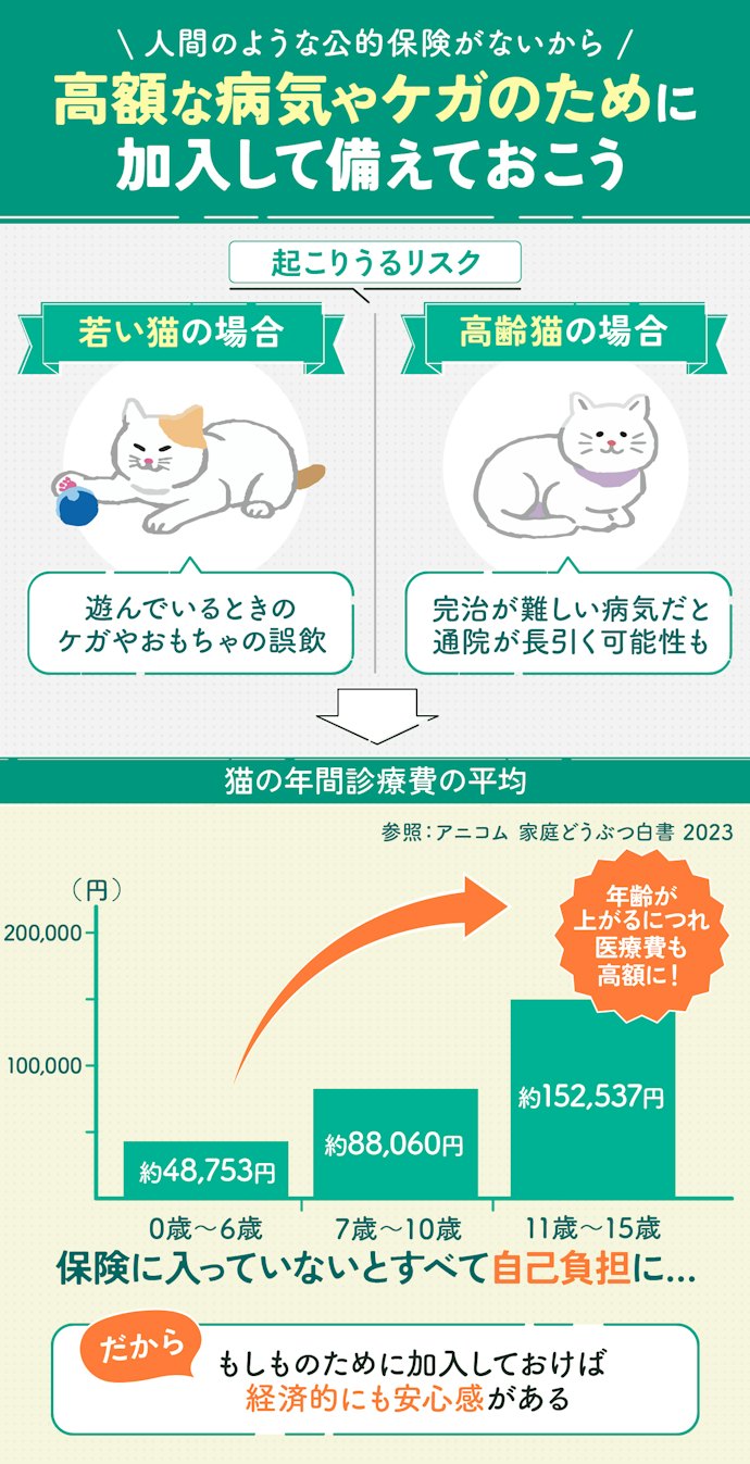 猫のペット保険は必要ない?加入したほうがよい?