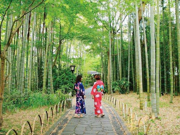 風情ある和の景観。修善寺温泉ってどんなところ?