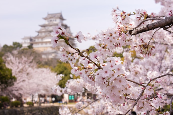 世界遺産や歴史文化に触れられる!姫路に泊まろう