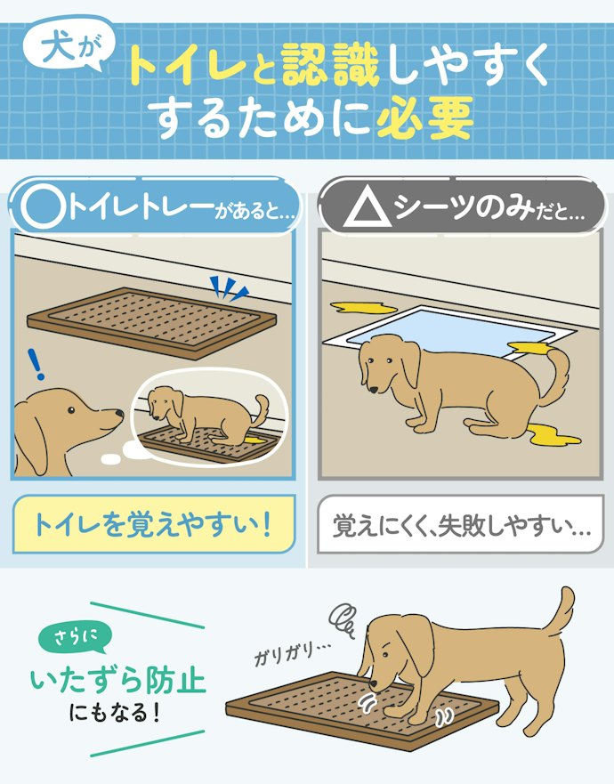 トイレトレーって必要なの?