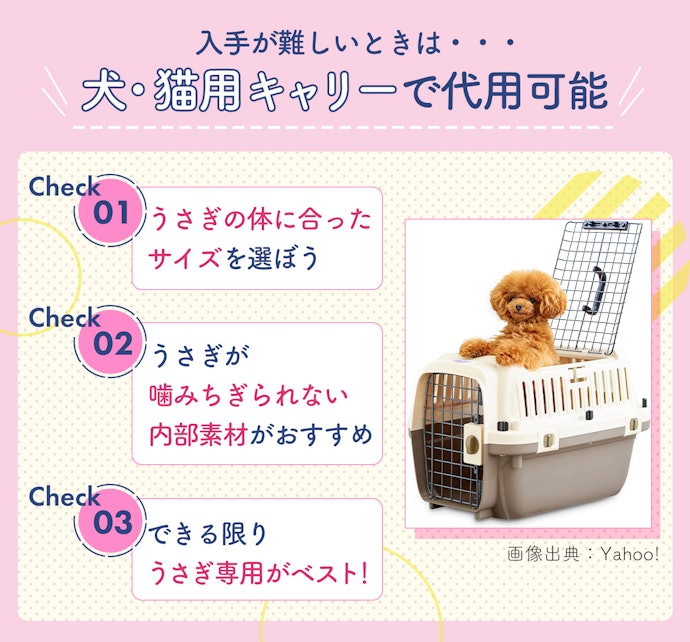 うさぎ専用キャリーじゃなくても大丈夫?