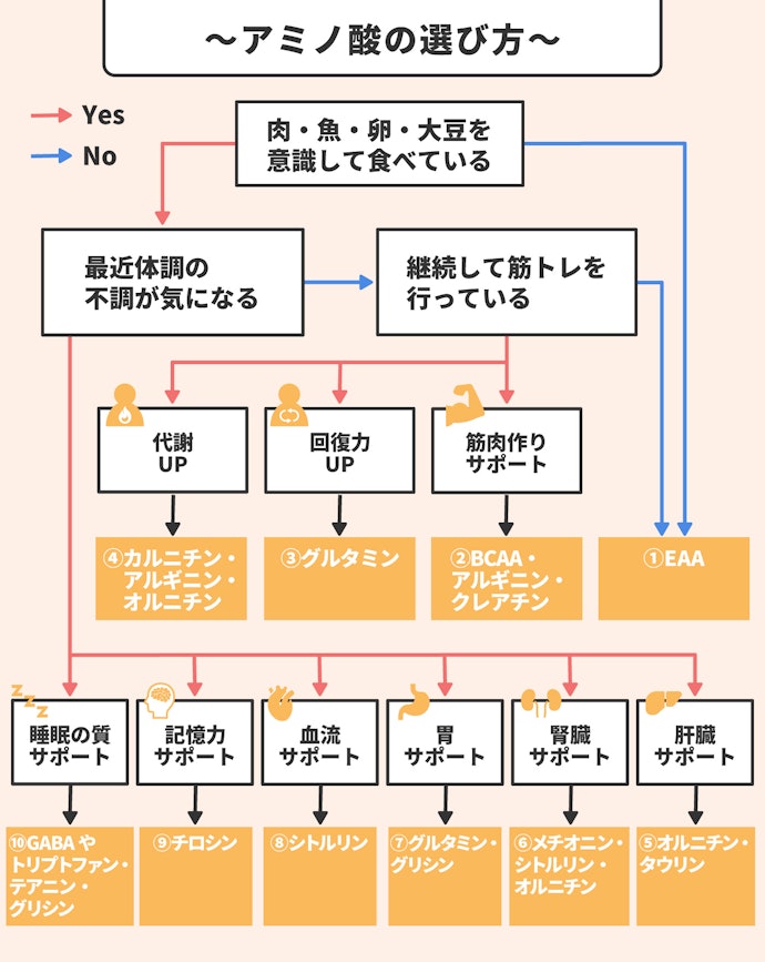 どんなときにどのアミノ酸を摂取すればいいの?