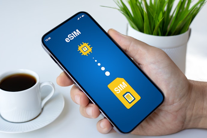 メキシコでスマホを使うなら、SIMカードとeSIMどっちがいい?