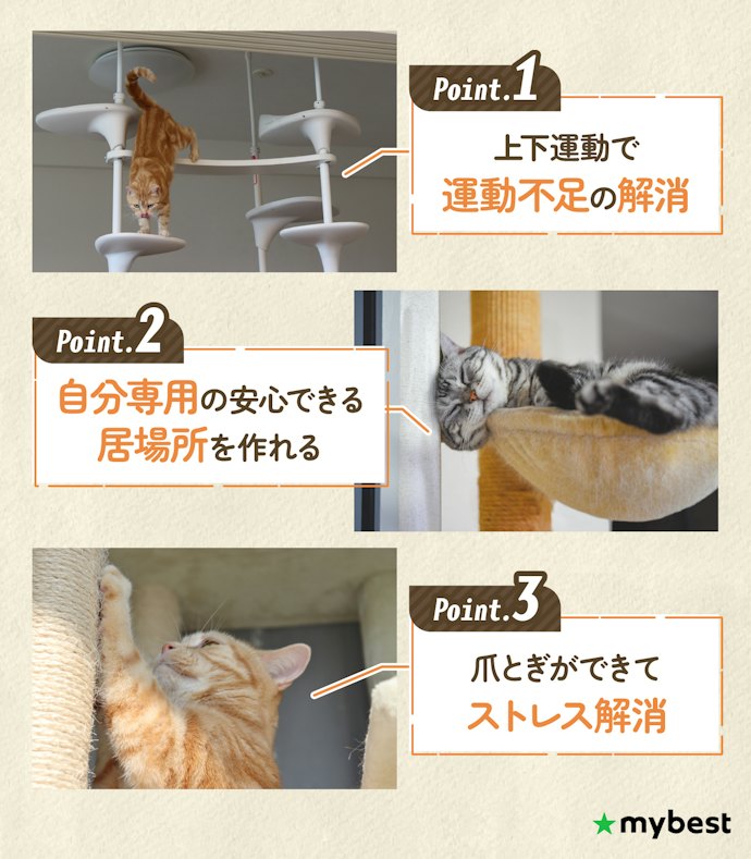 キャットタワーは猫にとって本当に必要なの?