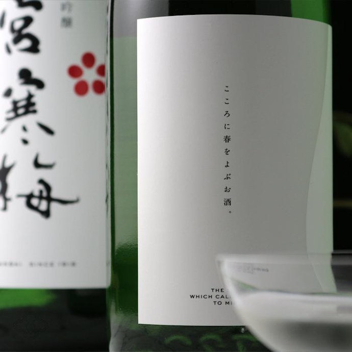宮寒梅の日本酒とは?どんな魅力がある?