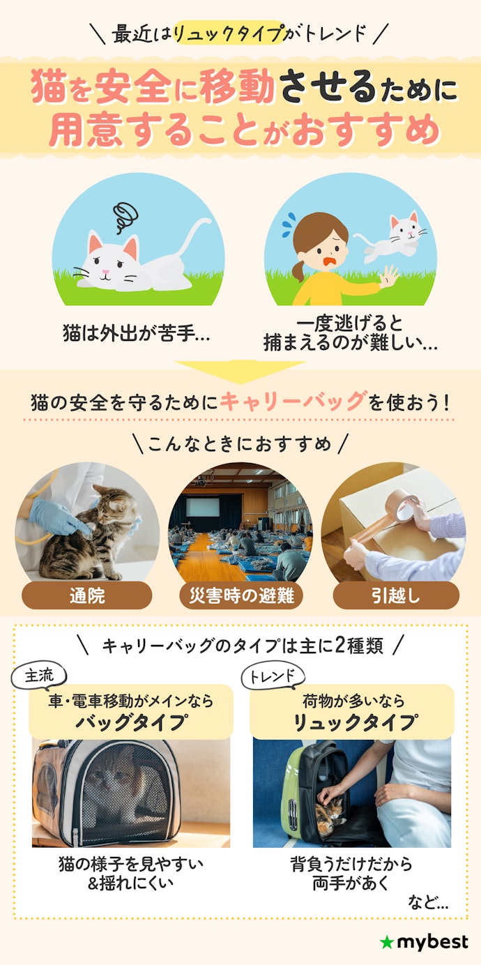 猫用キャリーバッグって必要?最近のトレンドは?