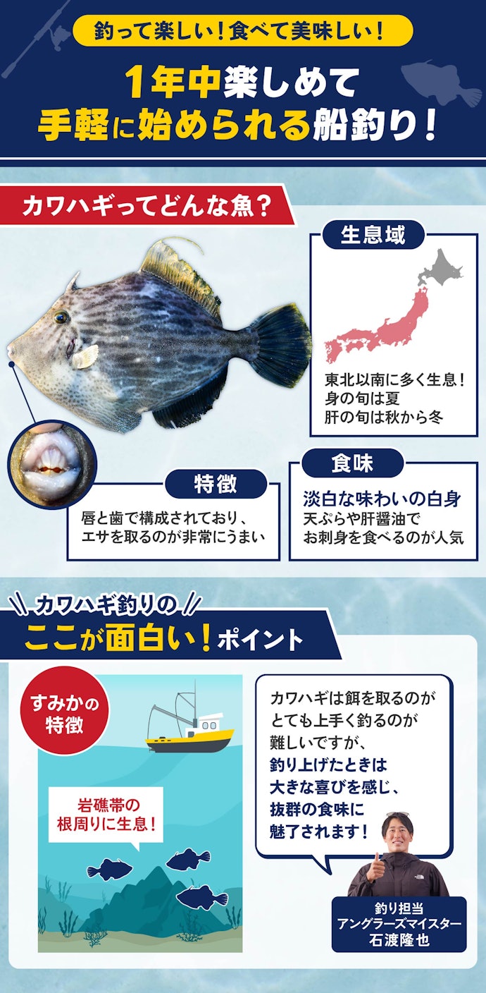 カワハギ釣りの魅力とは?