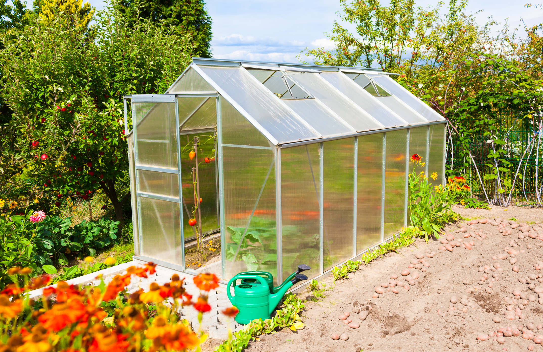 ガーデニングハウス 2S（0.5坪）家庭菜園 ビニールハウス 家庭用 温室 保温 花 野菜 栽培 ビ - 1