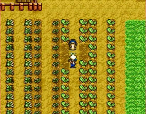 牧場物語シリーズはどんなゲーム?魅力とは?