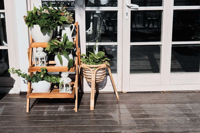おしゃれな観葉植物はどこで買える?