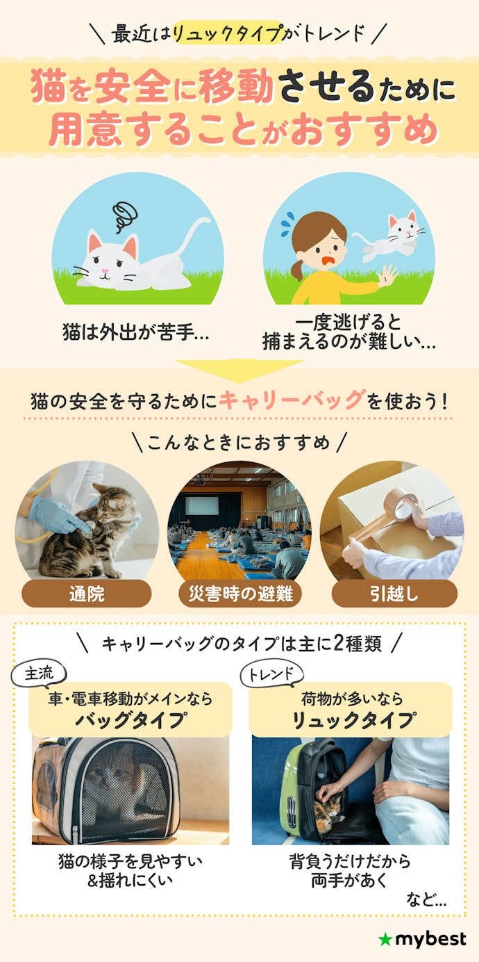 猫用キャリーバッグって必要?最近のトレンドは?