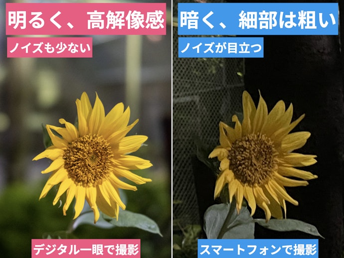 デジタル一眼とは?スマートフォンとの違いは?