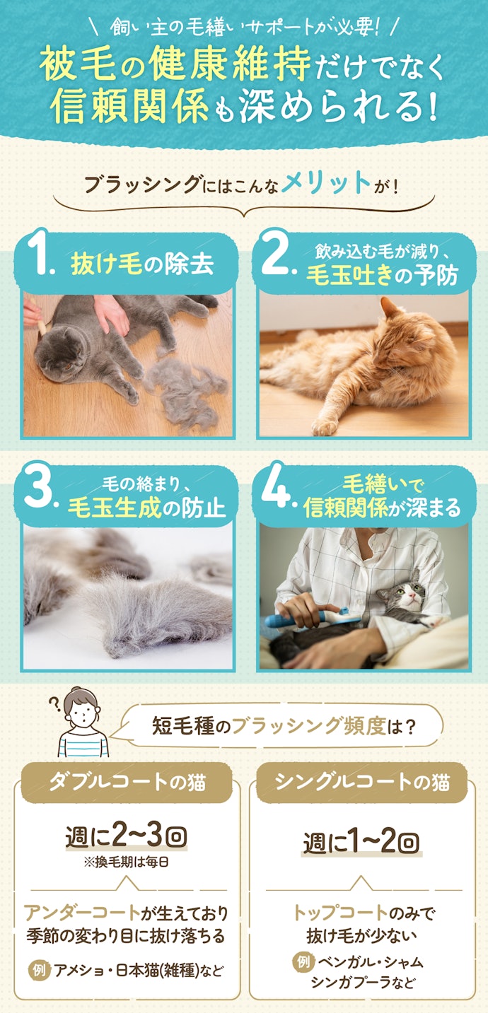 短毛の猫にブラッシングは必要?毛繕いだけじゃダメなの?