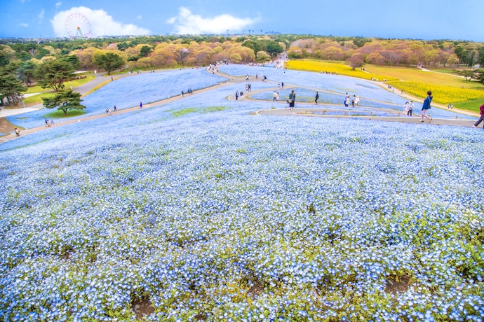 茨城にはどんな温泉地がある?