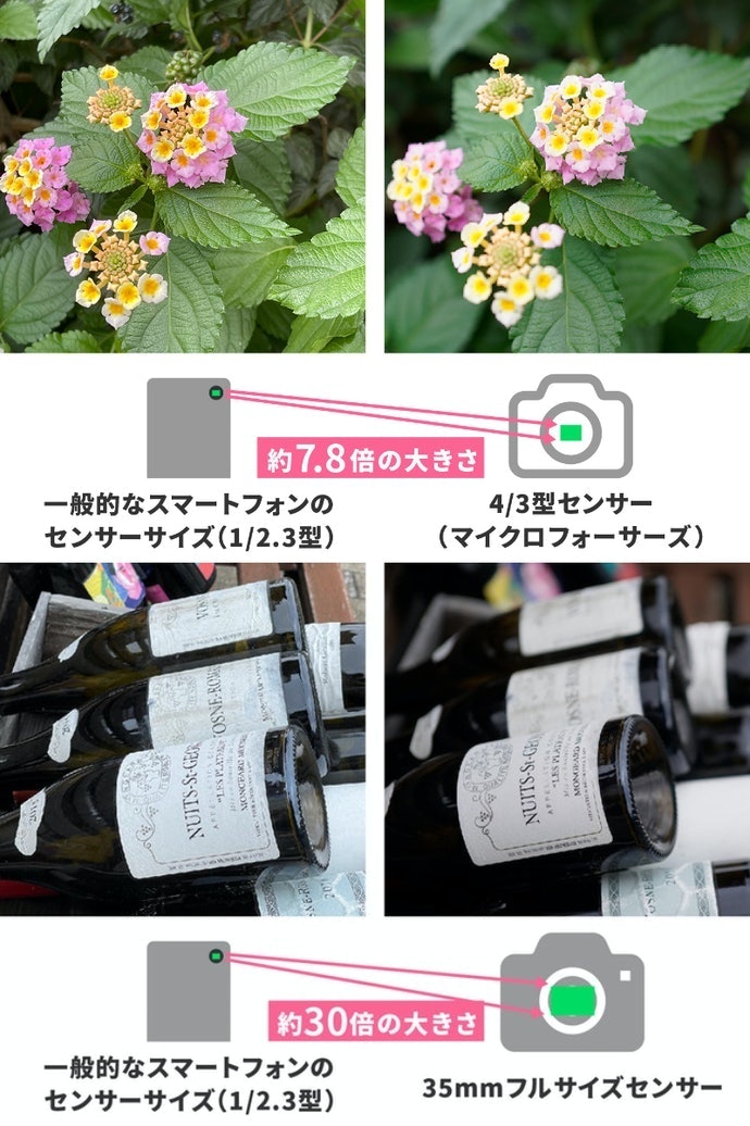 OM SYSTEMが採用する「マイクロフォーサーズ」とは?