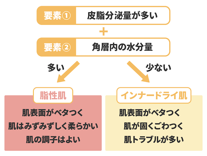 脂性肌とは?インナードライとの違いは?