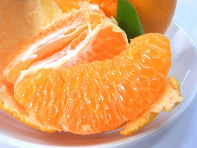 はるみとは?どんな特徴のみかん?