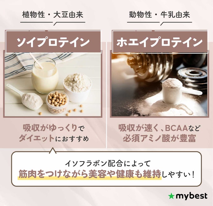 ホエイとソイの違いは?ソイプロテインでも筋肉はしっかりつく?