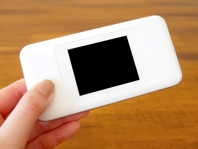ハワイに行くならポケット型WiFiとSIMカード・eSIMどっちがいい?