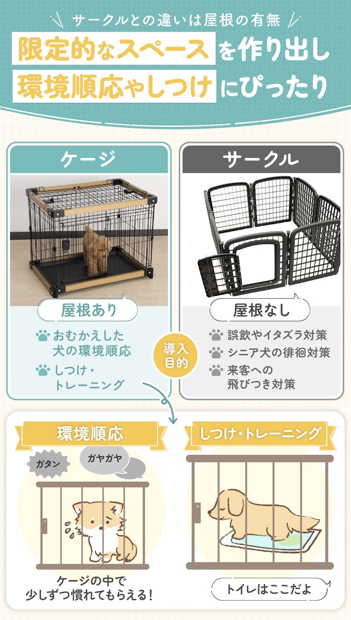 室内で暮らす小型犬にケージは必要?サークルとの違いは?