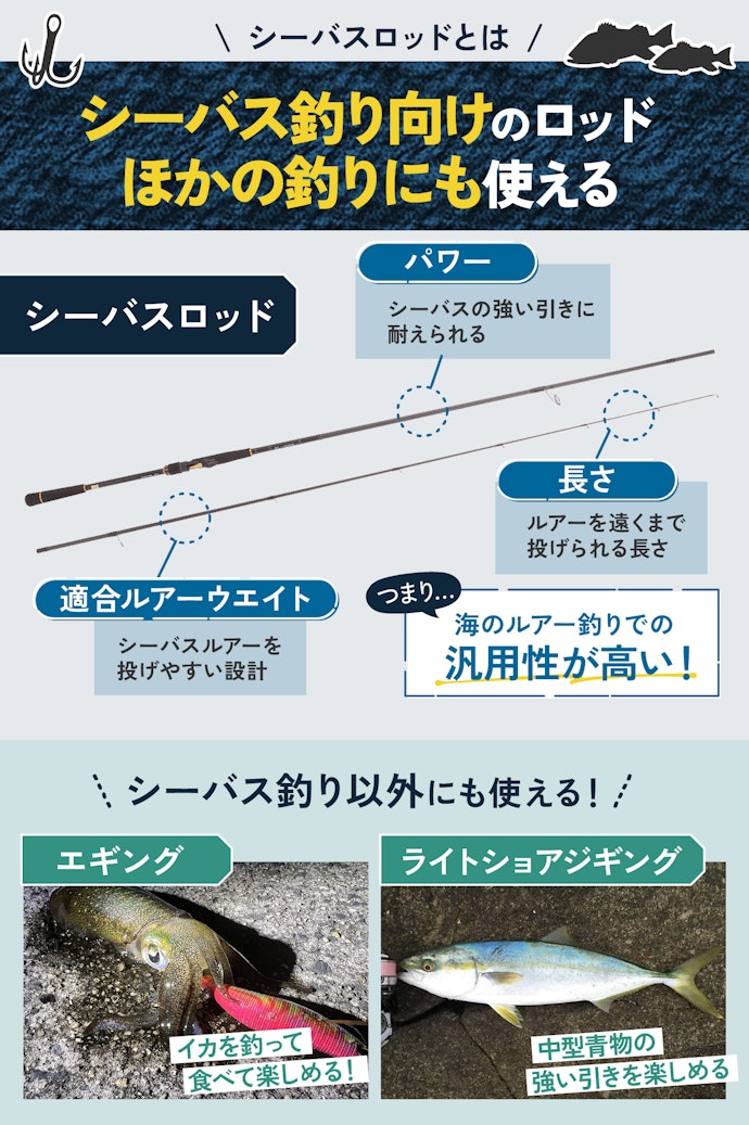 シーバスロッド1本でどんな釣りができる?万能性の魅力