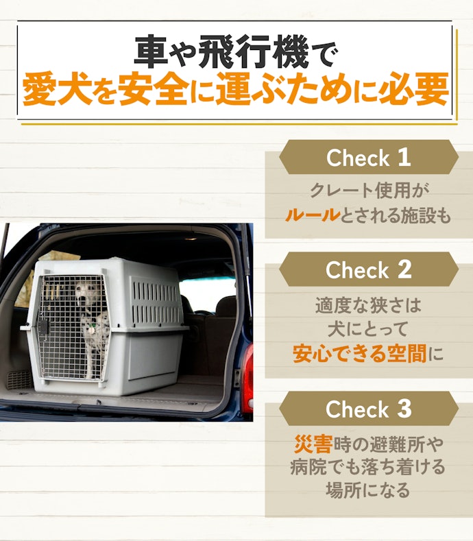 大型犬にもクレートは必要?用意しておくべき理由とは?
