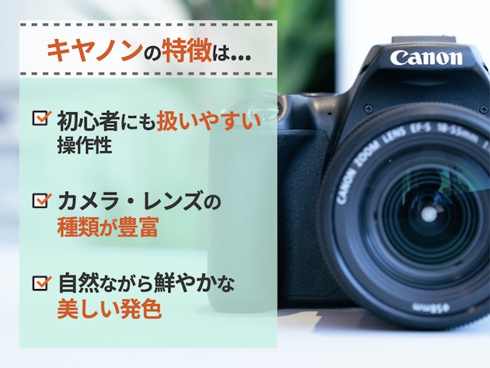 Canon(キヤノン)の一眼レフのおすすめ人気ランキング【2025年 Canon(キヤノン)の一眼レフのおすすめ人気ランキング【2025年
