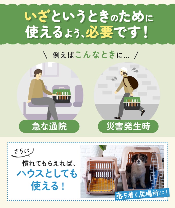 犬を飼うならキャリーバッグは必須なの?