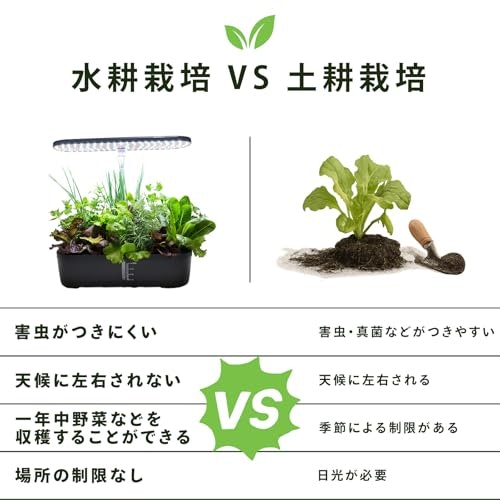 水耕栽培と土栽培の違いは?どんな野菜が育つ?