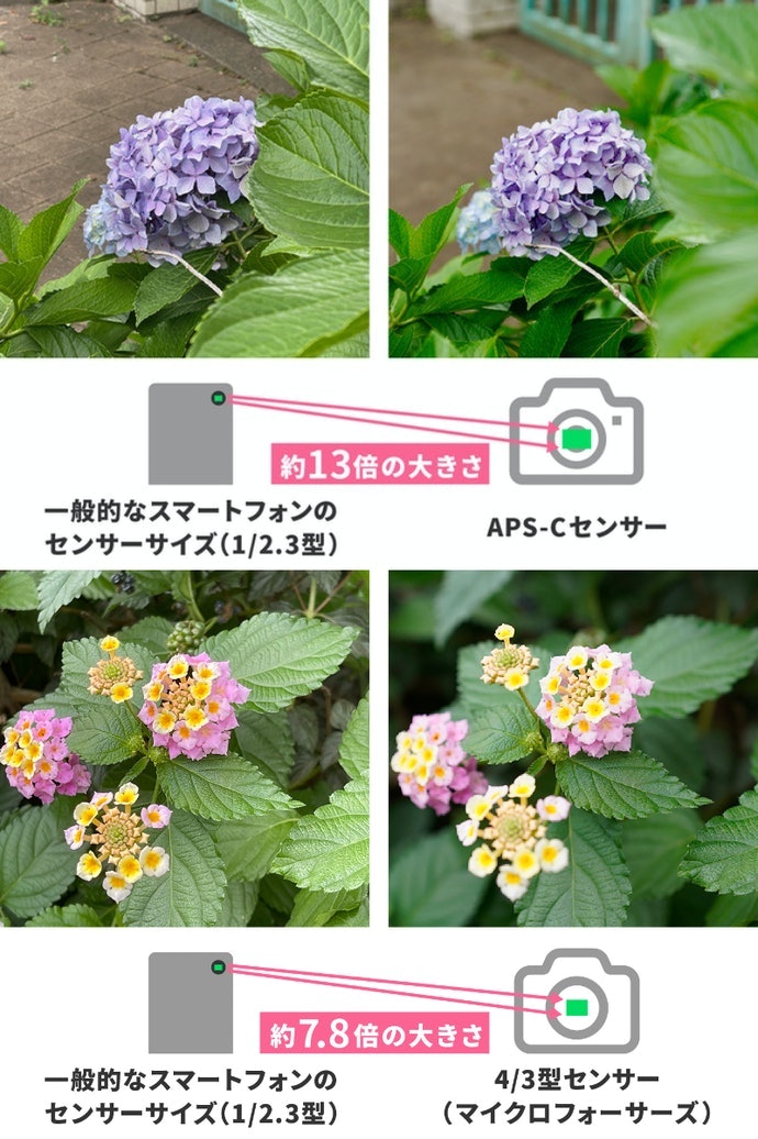 カメラによって異なる「センサーサイズ」とは?