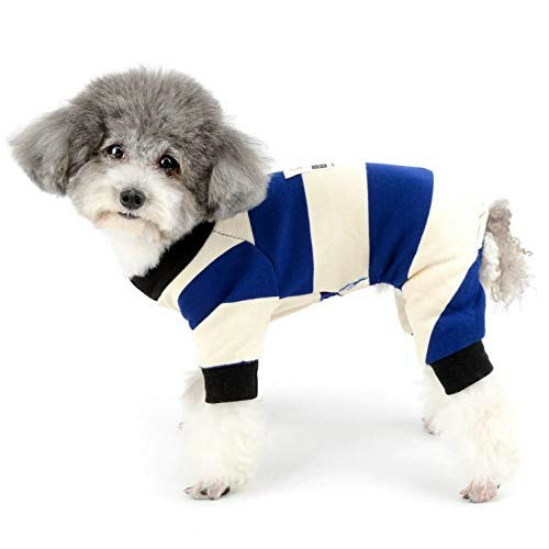 かわいいだけじゃない!犬用ロンパースがおすすめの理由とは?