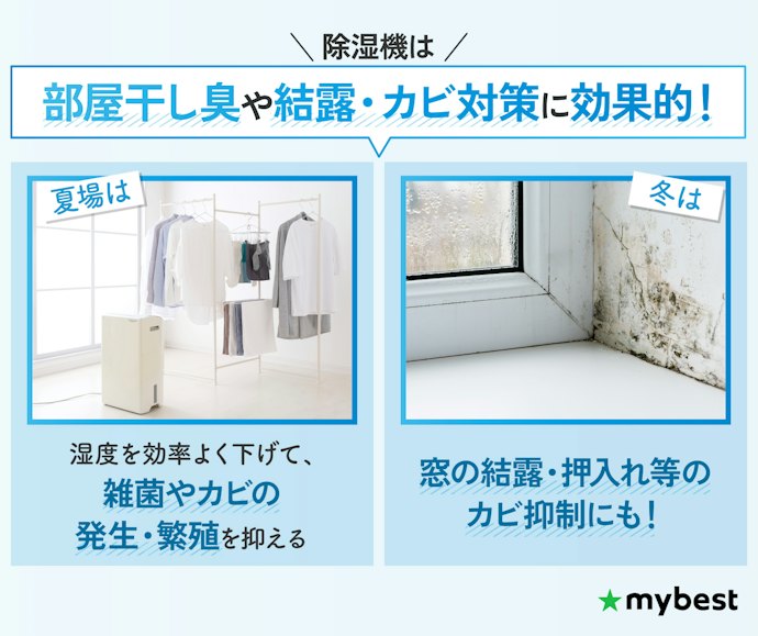 除湿機は必要?どんな効果がある?