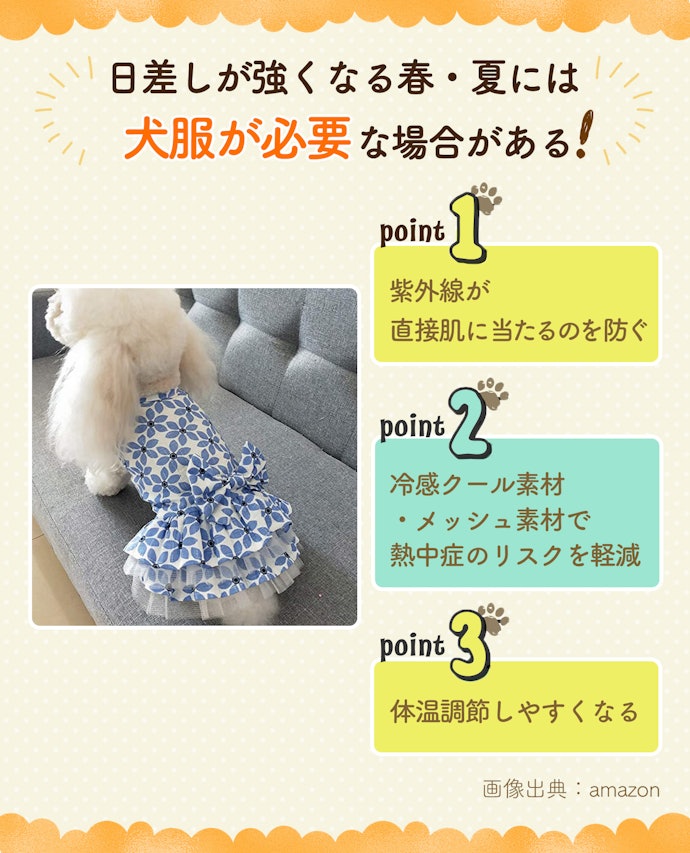 春・夏の季節に犬服は必要?暑くない?