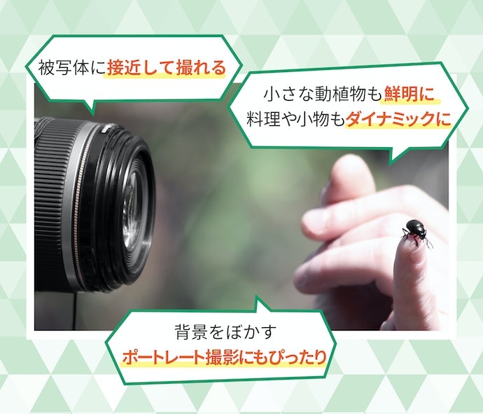 マクロレンズとは?どんなところが魅力?