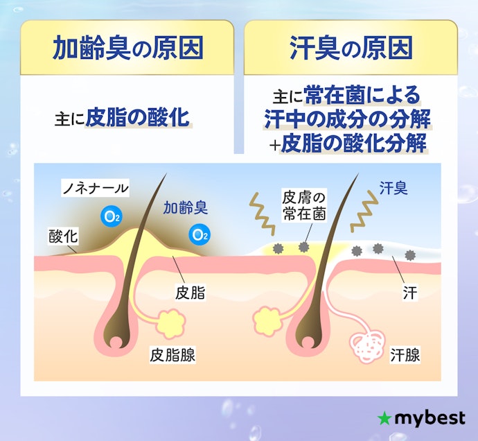 加齢臭と汗臭の違いは?