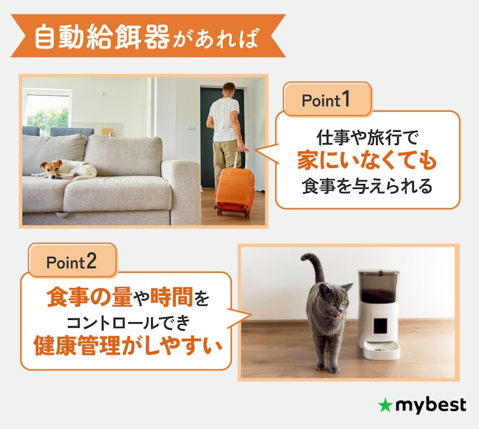 自動給餌器は本当に必要?メリット・デメリットは?