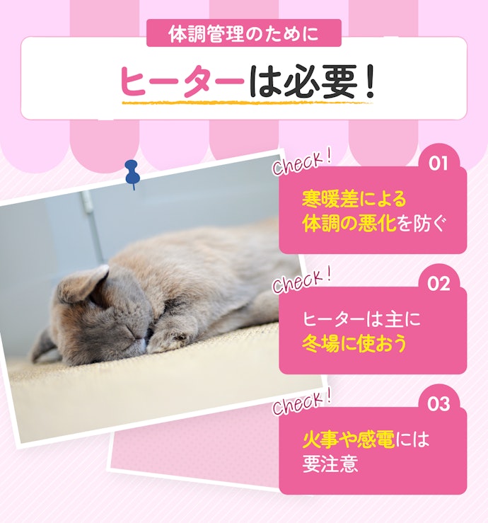 うさぎにヒーターは必要?いつから使うべき?